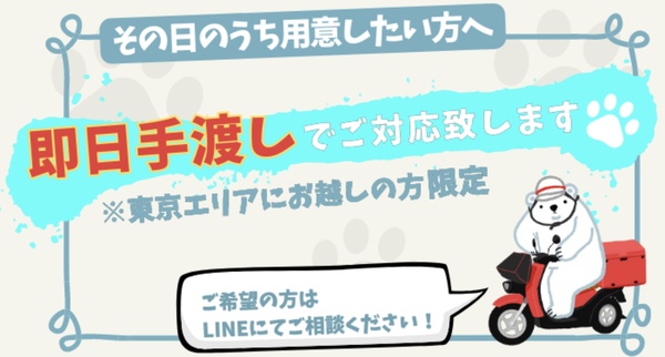 後払いで金券を購入するなら【しろくまギフト】