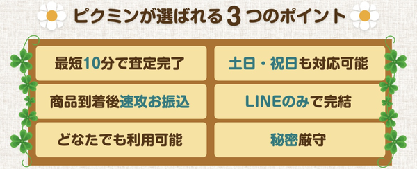 ピクミン 先払い買取の特徴